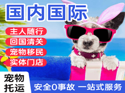 阿拉善空运公司国际宠物托运 【国